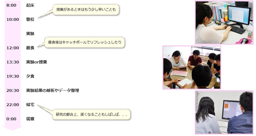 8:00 起床
10:00 登校　授業があるときはもう少し早いことも
実験
12:00 昼食　昼食後はキャッチボールでリフレッシュしたり
13:30 実験or授業
19:30 夕食
20:30 実験結果の解析やデータ整理
22:00 帰宅　研究の都合上、遅くなることもしばしば、、、
0:00 就寝