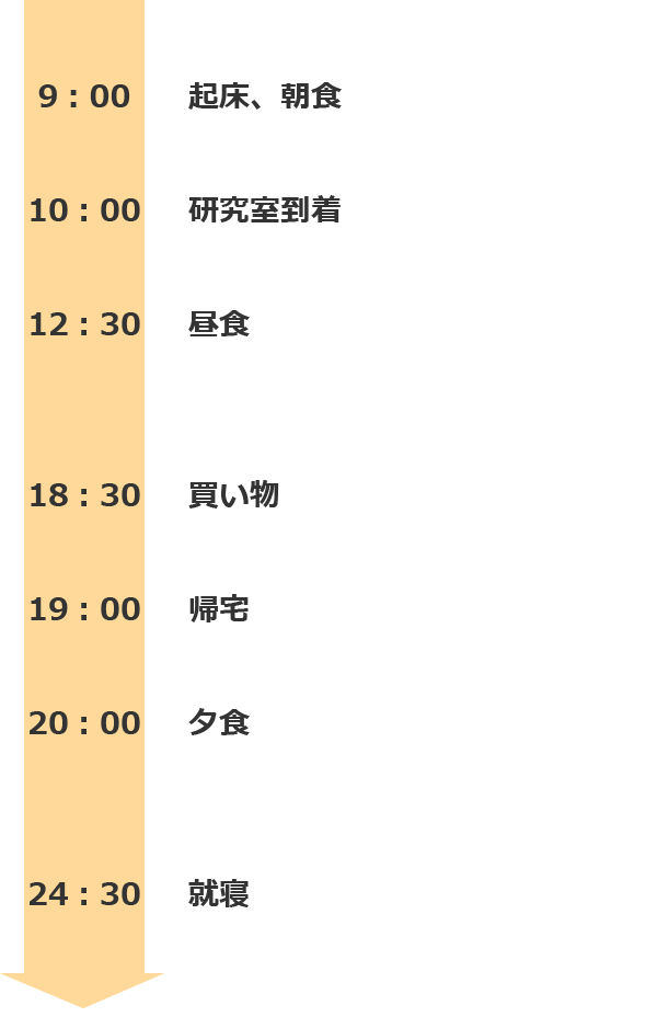 9：00　起床、朝食
10：00　研究室到着
12：30　昼食
18：30　買い物
19：00　帰宅
20：00　夕食
24：30　就寝