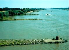 水制は、川から突き出しているのが特徴です。