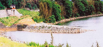 水制は、川から突き出しているのが特徴です。