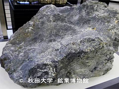 小坂産黒鉱の大型標本（鉱業博物館展示　横寸法約110 cm）