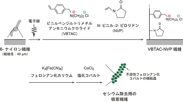 現在の地域の取り組み