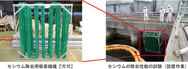 現在の地域の取り組み