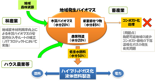 図1　ハイブリッドガス化液体燃料転換プロセスによるバイオマス利用社会