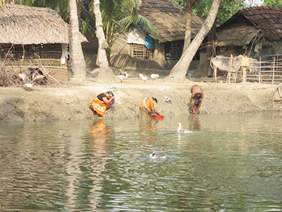 バングラデシュの水問題解決へ
～パイガサ地域の水・保健環境改善プロジェクト～