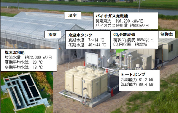 図1 実験設備の全景
