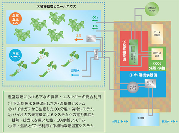 図2 実験設備の概要