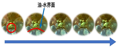 図3　HIMEカラムの塔底部油-水相界面の様子 HIMEカラムではエマルジョン（乳化）が発生しない