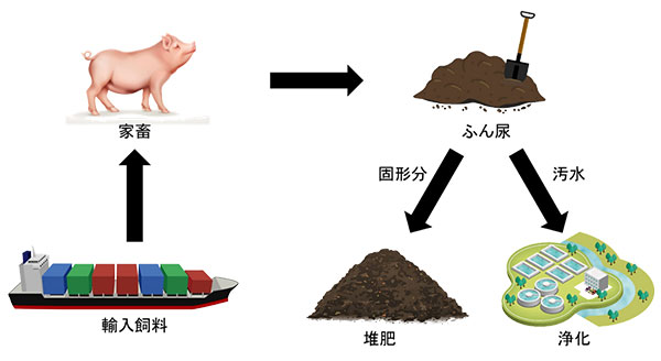 図1　現在の養豚の物質の流れ。