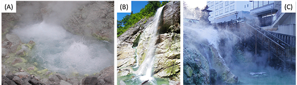 図1　研究対象の酸性温泉　（A）秋田県玉川温泉（大噴）、（B）秋田県川原毛温泉（大湯滝）、（C）群馬県草津温泉（湯畑）