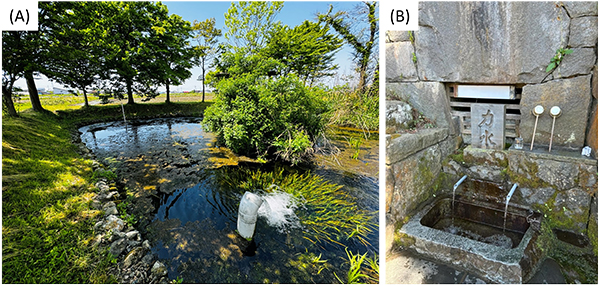 図3　研究対象の秋田県の湧水（A）古屋敷清水（本堂城廻の湧水群）、（B）力水（湯沢の湧水群）