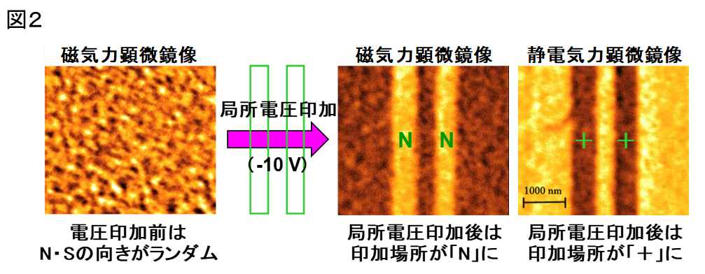 図2 電圧印加によるN極の誘起（N・Sの方向制御）