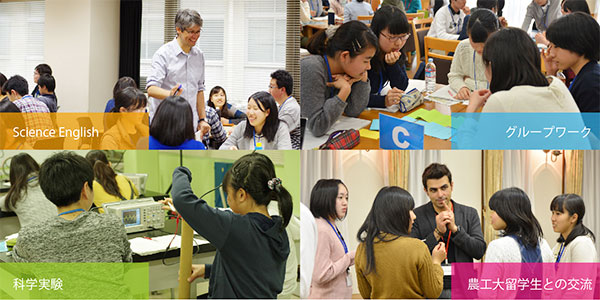 冬のIGS高大連携教室を開催します！