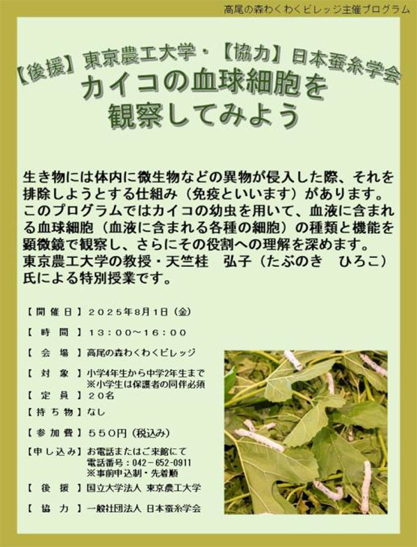 京王電鉄×東京農工大学×日本蚕糸学会「高尾の森わくわくビレッジ」