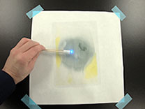⑤ 発光ダイオードで電気が流れることを確認