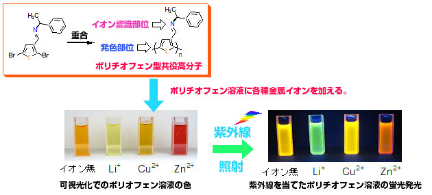 図6　ポリチオフェン溶液に金属イオンを添加したときの色変化と蛍光発光