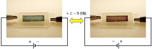 図7　ポリチオフェン膜のエレクトロクロミズムを利用した表示素子