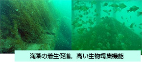 海藻の着生促進，高い生物蝟集機能