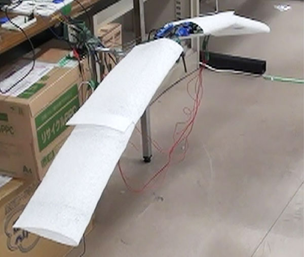 図４　多関節羽ばたきロボット