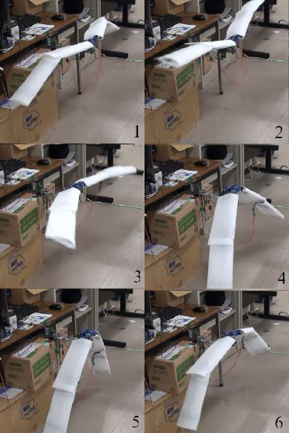 図５　羽ばたき実験の様子