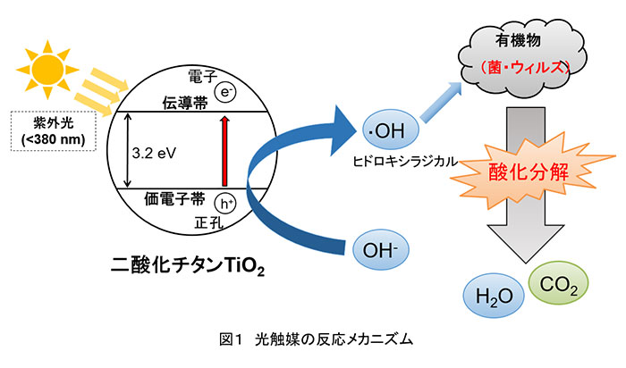図１　光触媒の反応メカニズム