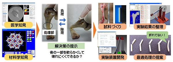 図1　骨折を防ぐための研究　－経験に基づく提案と現在の研究－