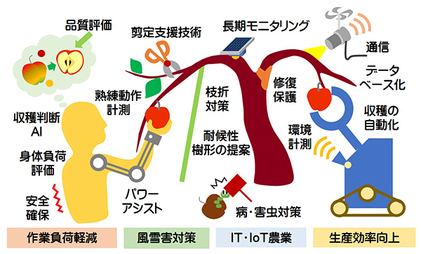 図2　果実生産を効率化するための工学側からの提案