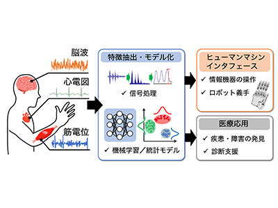 生体信号の不確実性に適応するAI認識技術の開発