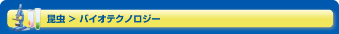 昆虫＞バイオテクノロジー