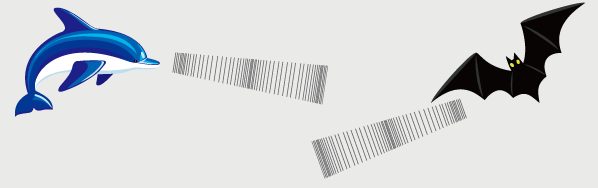 超音波（ちょうおんぱ）って、なに？