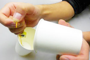 もう一つの紙コップにも中を通して、輪ゴムを取り付けます。