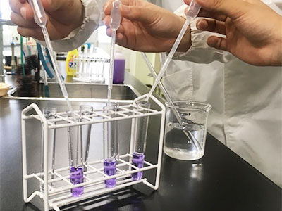 トウモロコシの芯を切る