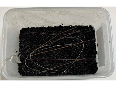 2) 粉体状活性炭の上にステンレス線と鉄線（負極）