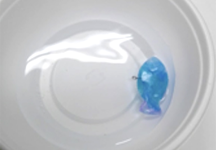 トウモロコシの芯を切る