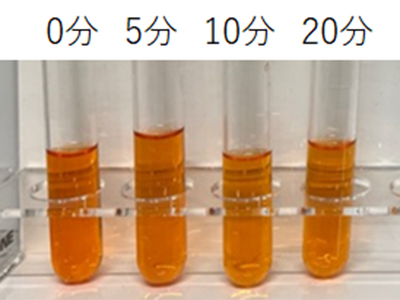カルミン酸溶液（100 mg/L）