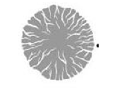 図　活性炭の内部構造