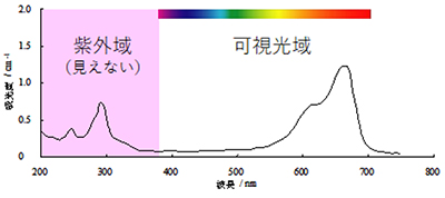 メチレンブルー溶液（10mg/L）吸光度