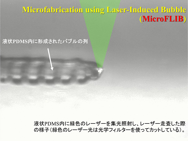 図1 緑色レーザーを液状PDMS内に集光し、走査した際の様子
