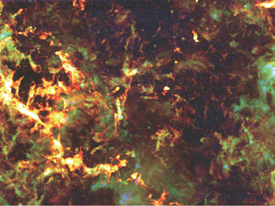 ミリ波で探る宇宙の謎