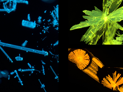 発光する分子結晶