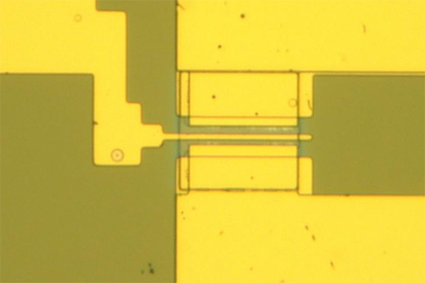 Si基板上のInSb-MOSFETの光学顕微鏡写真
