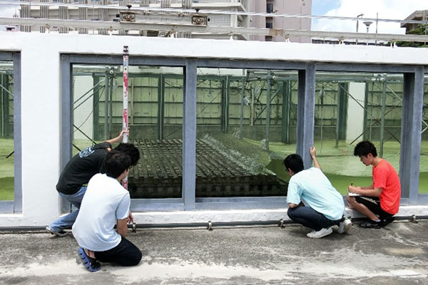 大型造波水槽を使った人工リーフ上の波の観察の様子