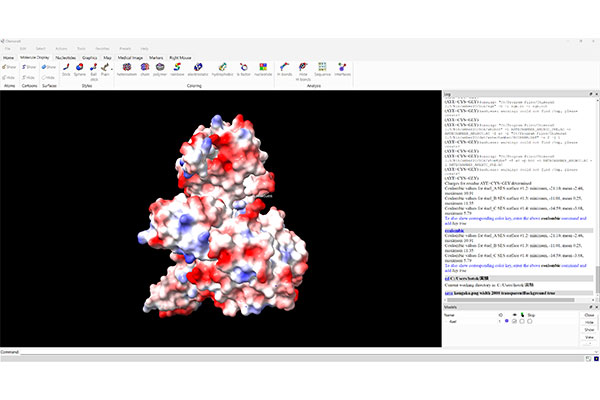研究しているタンパク質の立体構造